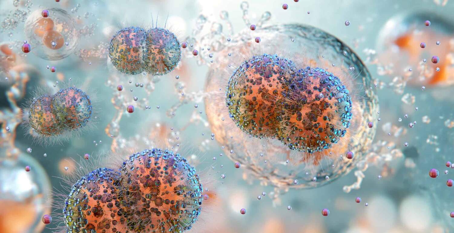 淋病の原因である細菌の拡大イメージ